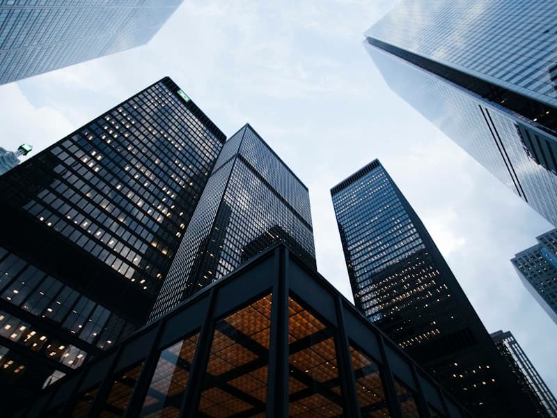 The Rise of the Chief AI Officer: A Comprehensive Guide for SMB CEOs