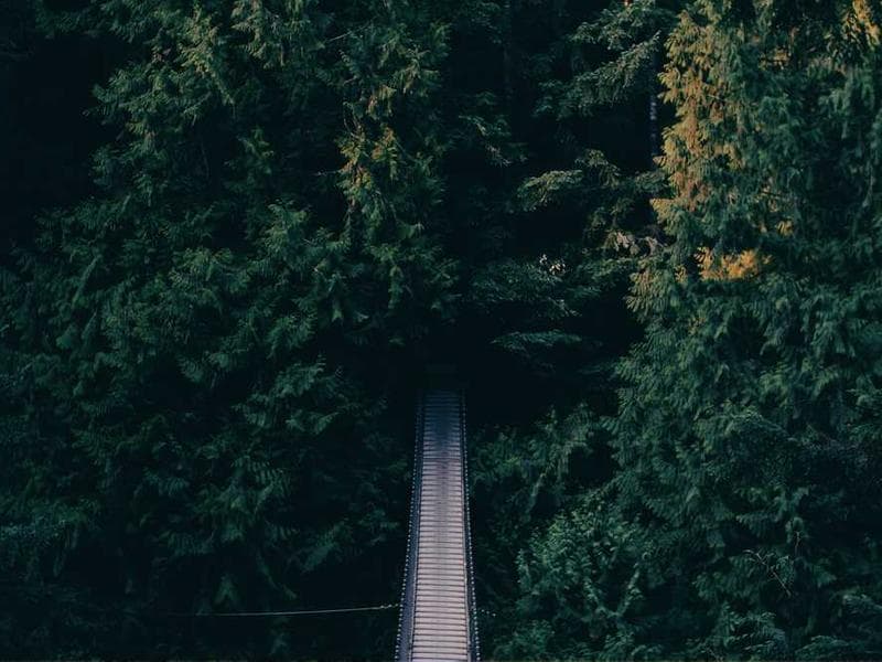Choosing the Right AI Tools Guide